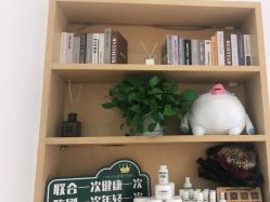 点击看大图 -WENDY·温迪皮肤管理