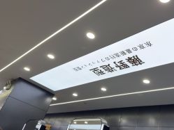 点击看大图 -藤野造型