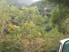 -太鲁阁公园