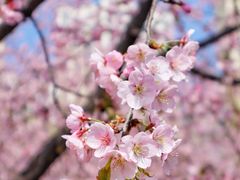 -白塘生态植物园