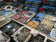 -霞涌市场海鲜摆卖区