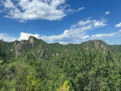 -大岭沟猕猴桃谷风景区