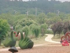 -大塘金香草谷