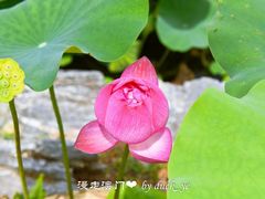 -龙环葡韵住宅式博物馆