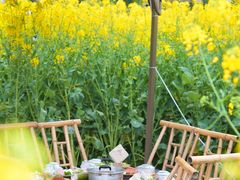 -中国天府农业博览园