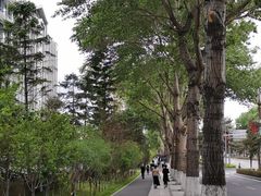 -大树餐厅(红旗街万达店)