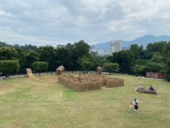 -深圳野生动物园