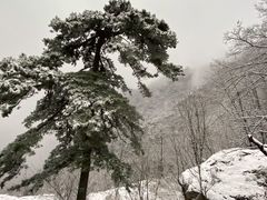 -秦岭终南山世界地质公园翠华山景区