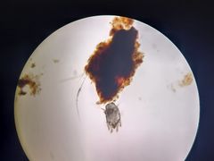 -宠颐生宠物医院·心肾内科·猫专科诊疗中心宠巢店