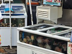 -西归浦每天偶来市场
