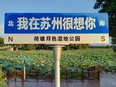 -荷塘月色湿地公园·向阳花洲