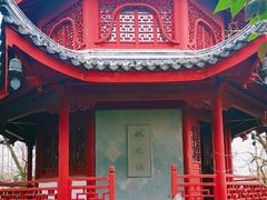 -汇龙潭