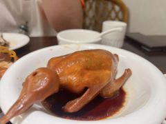 -旺金鸽(穗盐路总店)
