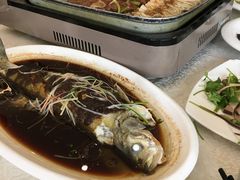 -农家大院