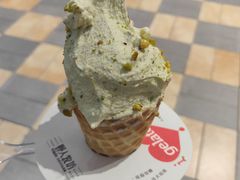 -野人先生现做冰淇淋(西安赛格店)