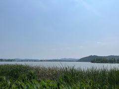 -东湖落雁景区