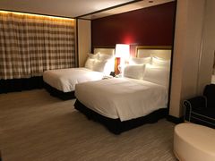 -拉斯维加斯永利酒店