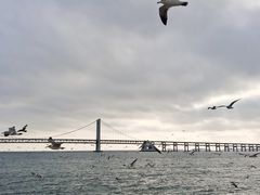 -星海广场