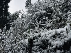 -九峰山