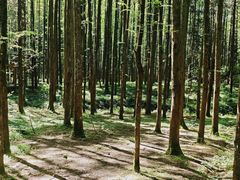 -山王坪喀斯特国家生态公园