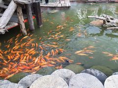 -青瓦房古村落