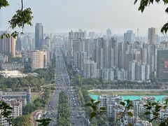 -板樟山森林公园