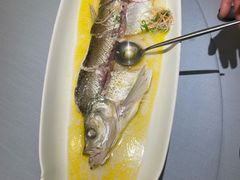 -苏帮袁Sue Cuisine(将台店)