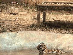 -昆明动物园