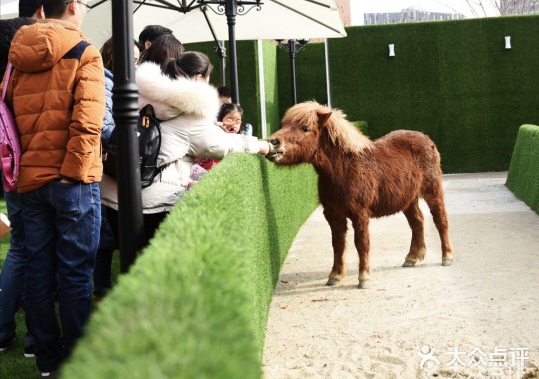 六一带娃👶必去胜地&萌宠乐园🐖