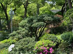 -浙江西子宾馆·瑶园咖啡厅