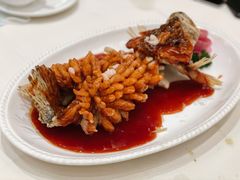 松鼠桂鱼-得月楼·省级非遗·传统苏帮菜(观前店)