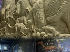 -中国西峡恐龙遗迹园