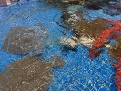 -济南喜来登酒店