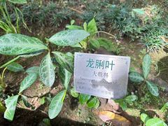 -广州神农草堂中医药博物馆