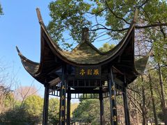 -东湖落雁景区