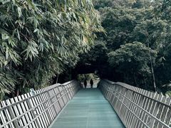 -福道