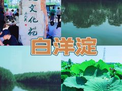 -白洋淀景区