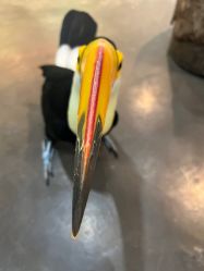 -Zoolung Zoolung动物主题公园(海信广场店)