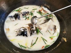 -小团圆灶台鱼·百城头牌菜(千岛湖店)