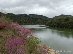 -婺源梦里老家大型山水实景演出