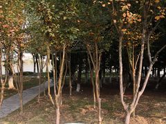 -白塘生态植物园