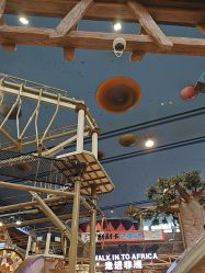 -卡通尼·Safari非洲探索乐园·生日会(金桥国际商业广场店)