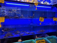 -湘满甲·黄焖甲鱼创始者·湘菜·鲁菜(潘家园店)