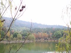 -游子山休闲旅游区