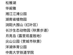 -黄兴南路步行商业街