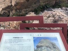 -白草畔自然风景区