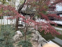 -秋霞圃