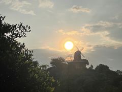 -东莞植物园