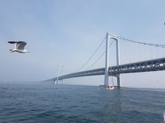 -星海湾跨海大桥
