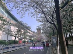 -鸡鸣赐茶(鸡鸣寺路店)